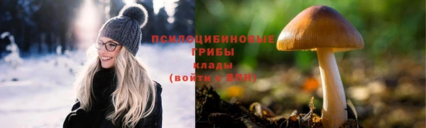стаф Абдулино