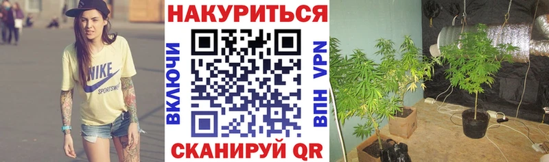 Бошки марихуана гибрид  как найти закладки  Харабали 